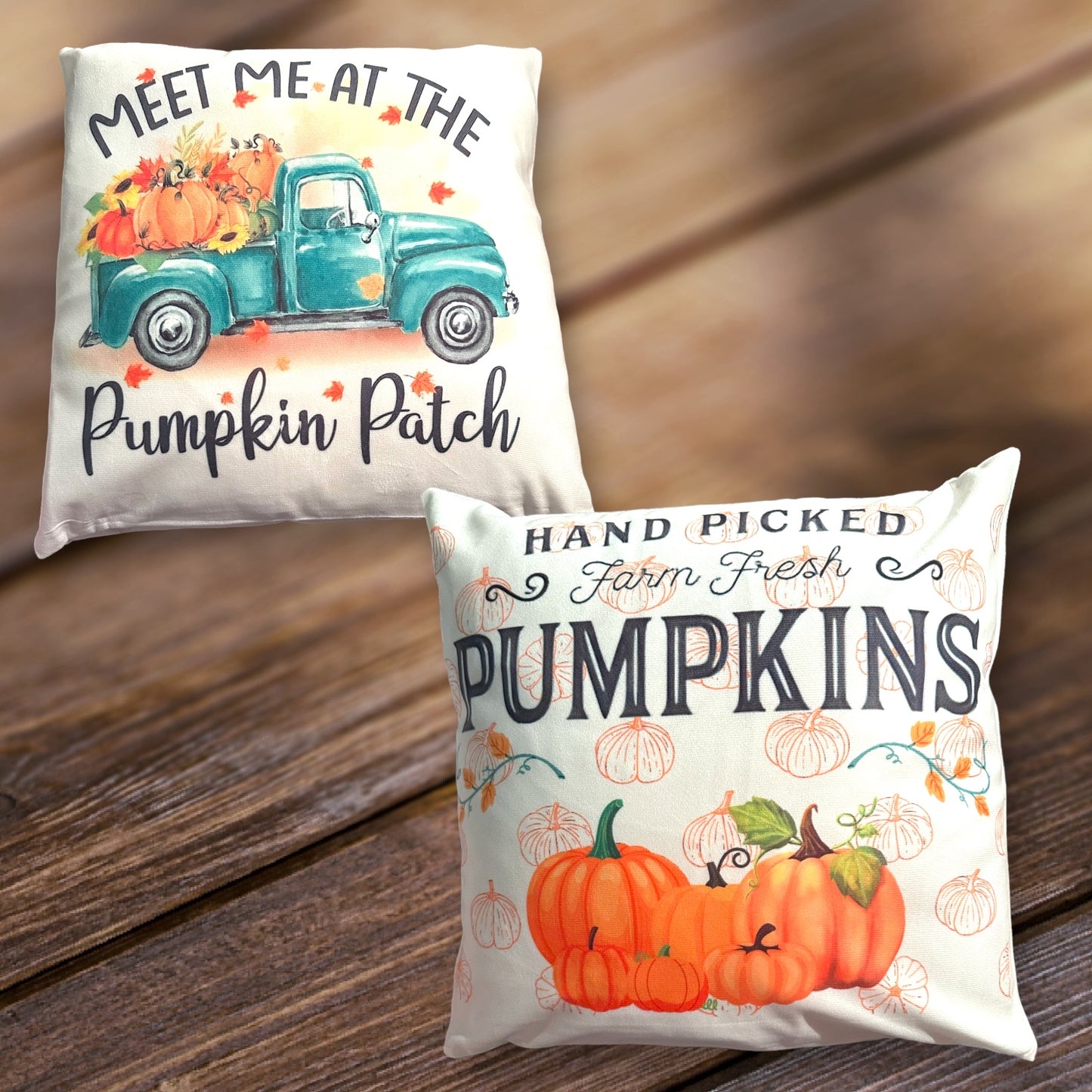 New Halloween and Fall 16x16 Pillows