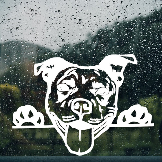 Pittie Ride Vehicle Decal