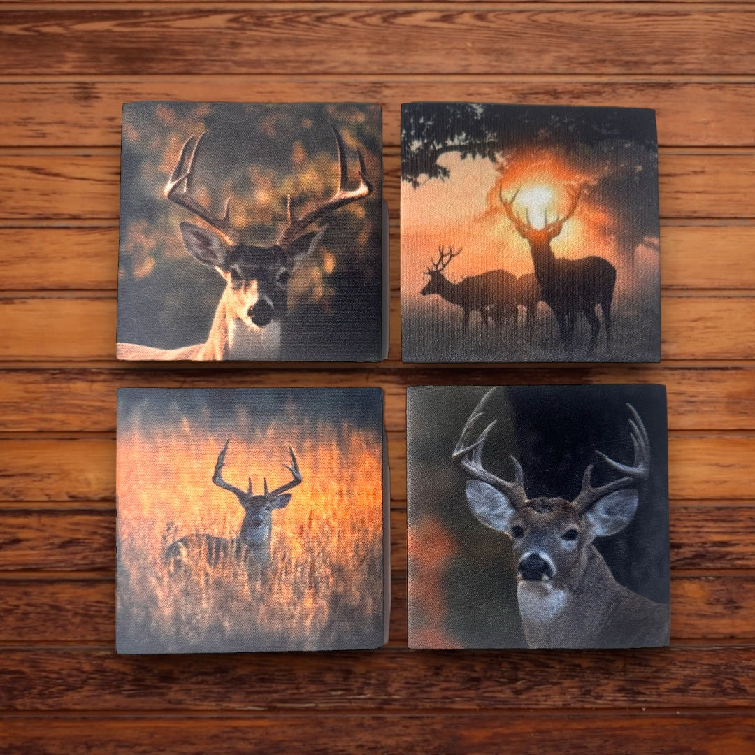 House Coaster Set (4)